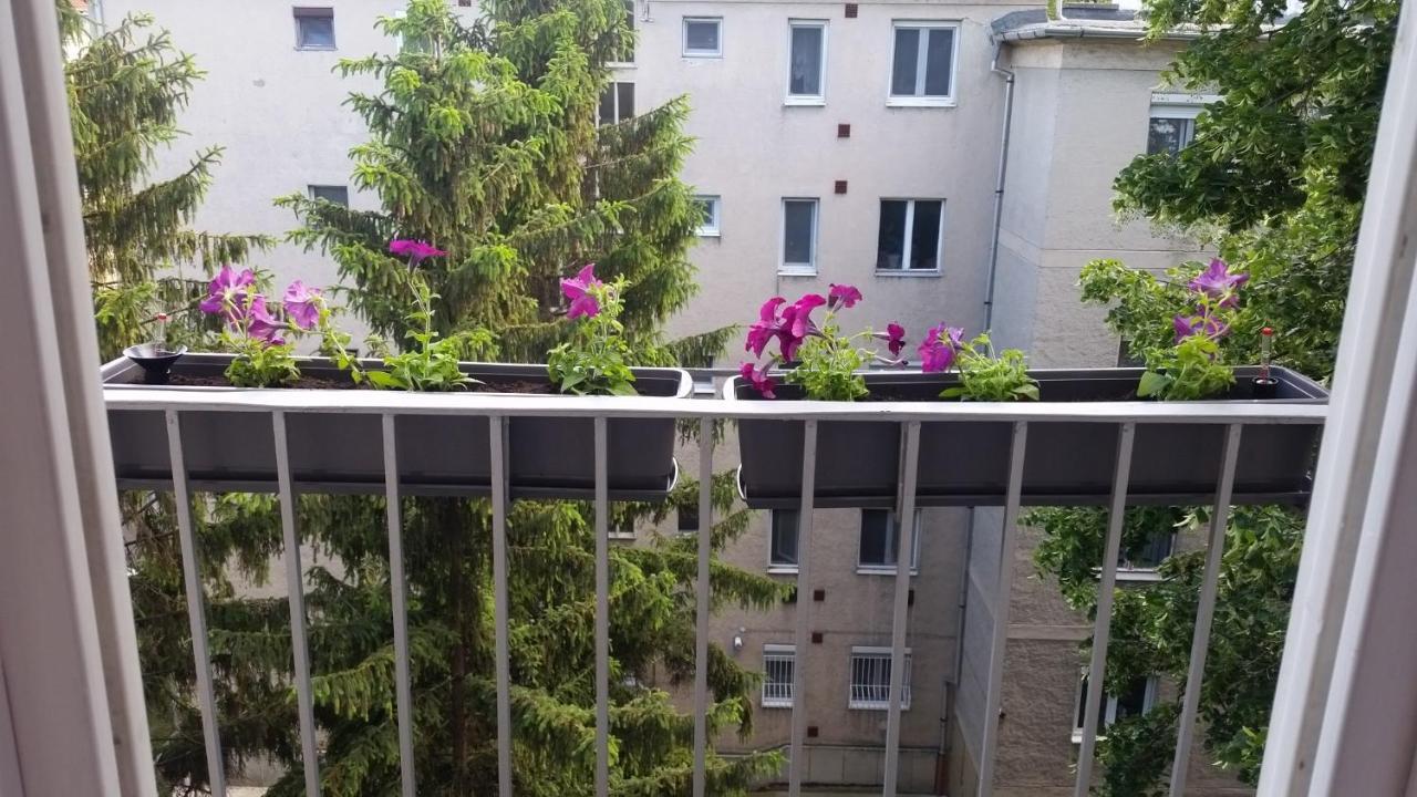 Tisza-parti Napfény Apartman-Free parking Szeged Bagian luar foto